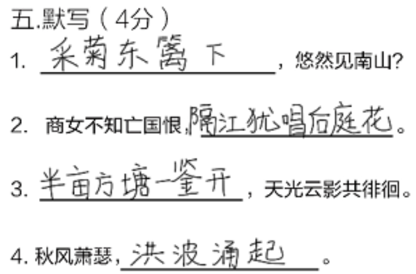 语文作业